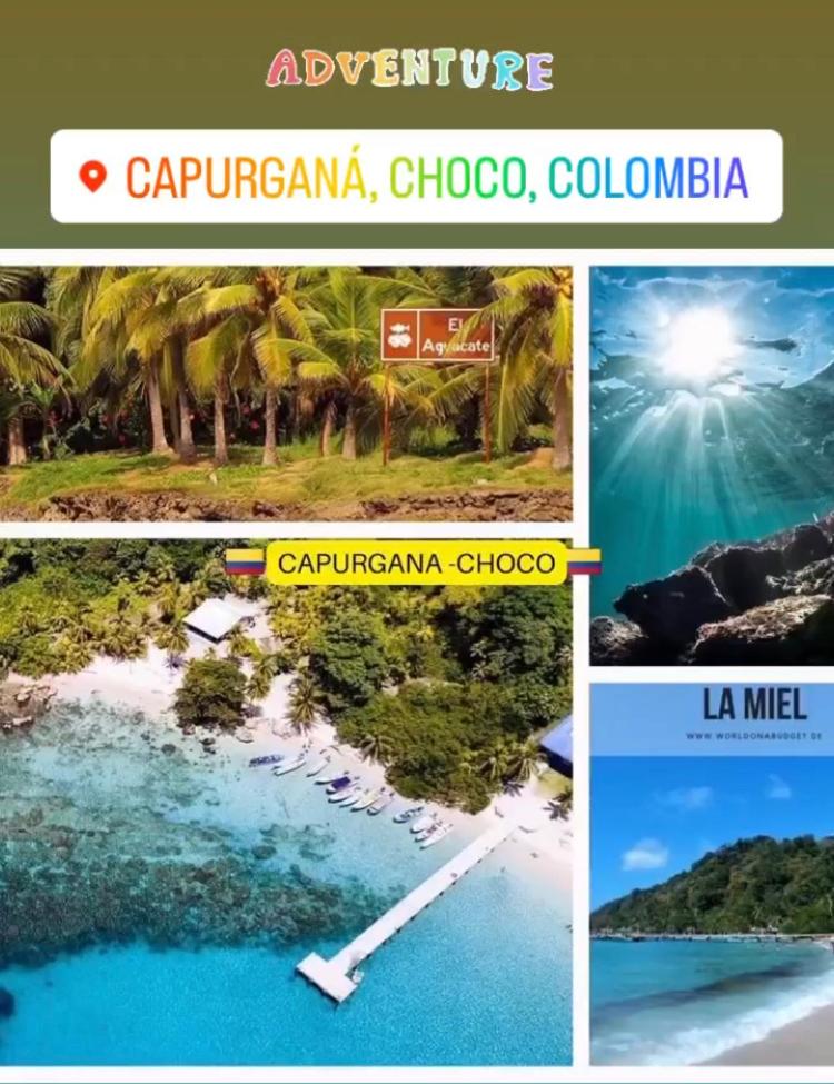 cabaña los corales - Housity