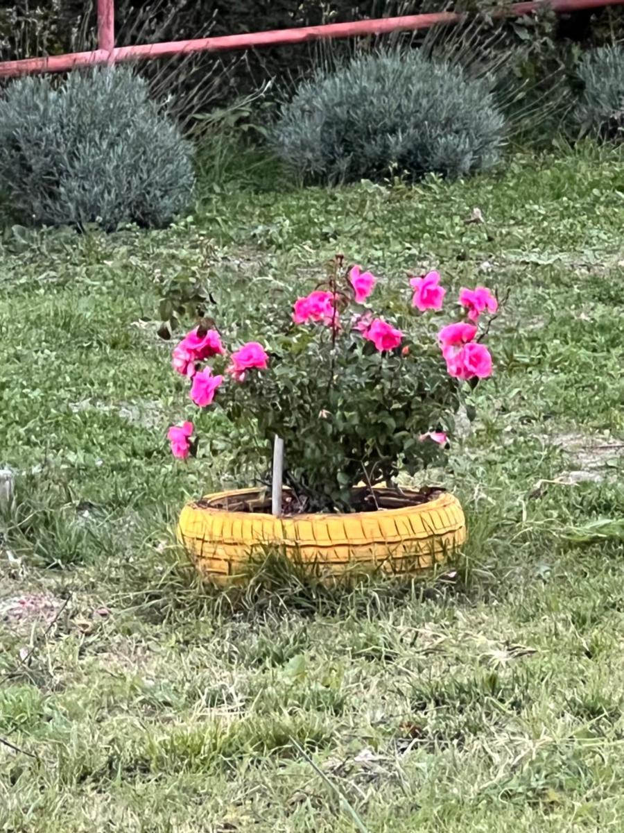 B&B Il tramonto - Housity