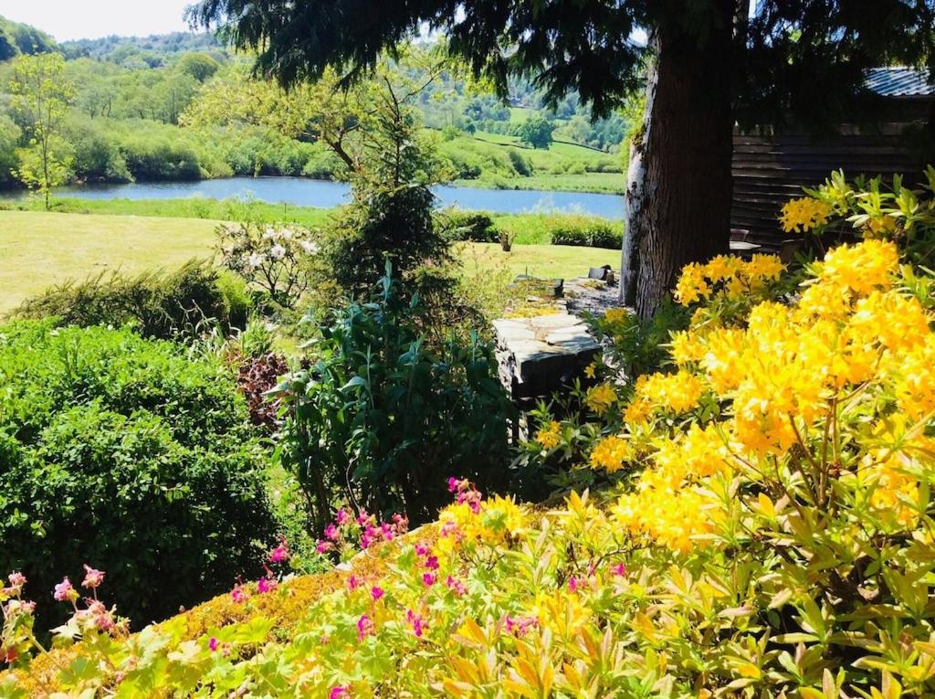 Dove Cot country cottage Ambleside - Housity