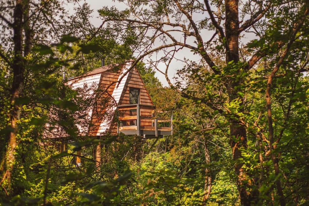 Skapya Treehouse with private hot tub . - Housity
