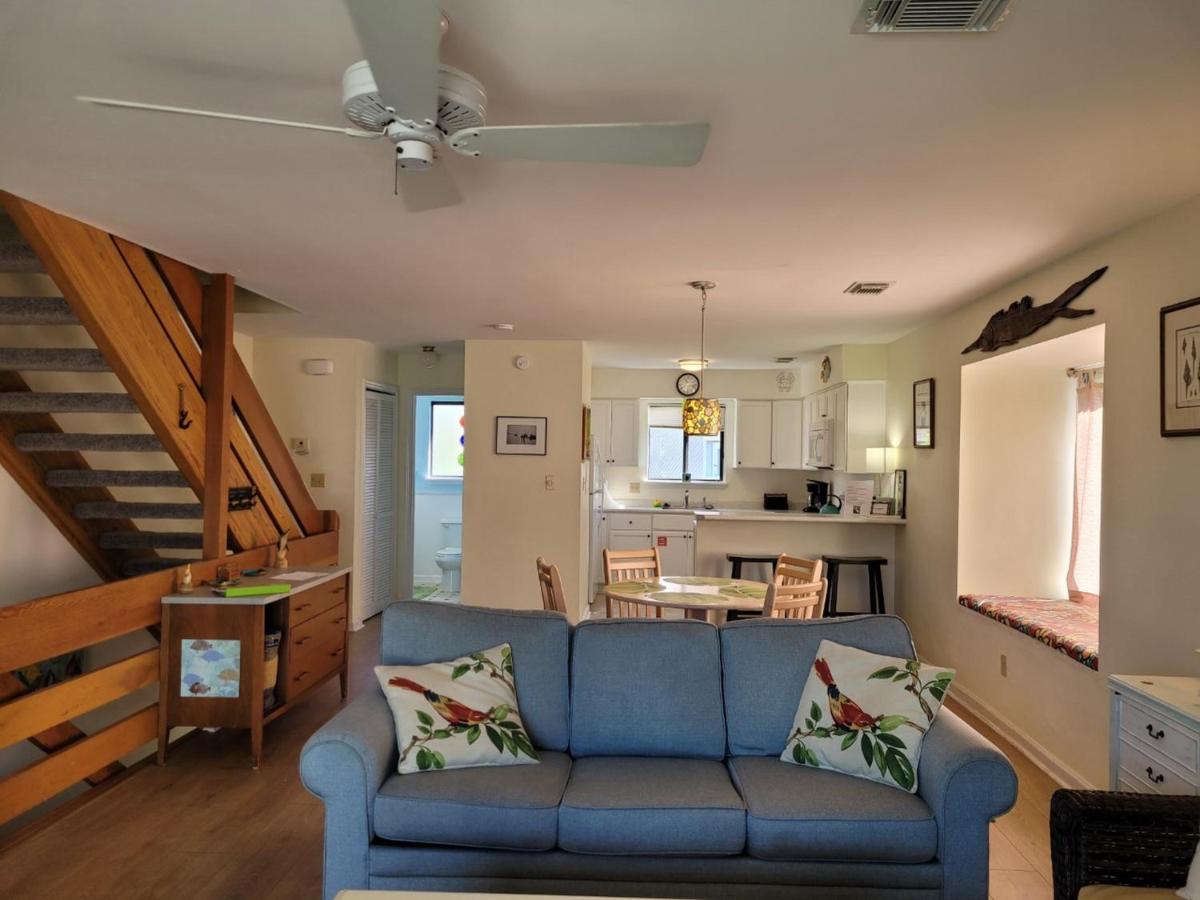The Little Pelican - Housity