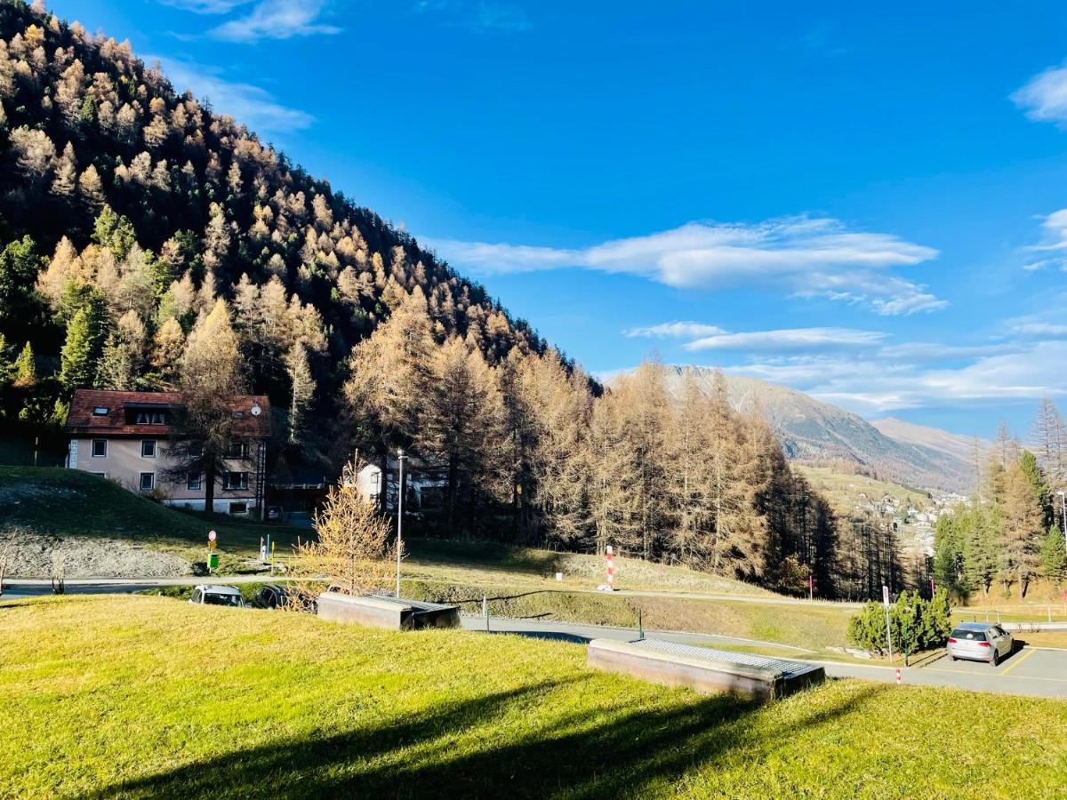 Sankt Moritz Chesa Ruinatsch 50 - Housity
