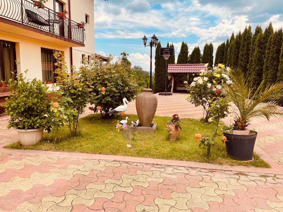 Pensiunea Valea Ursului - Housity
