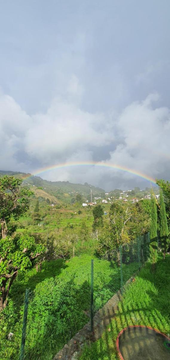 Dream Stay Kodai - Housity