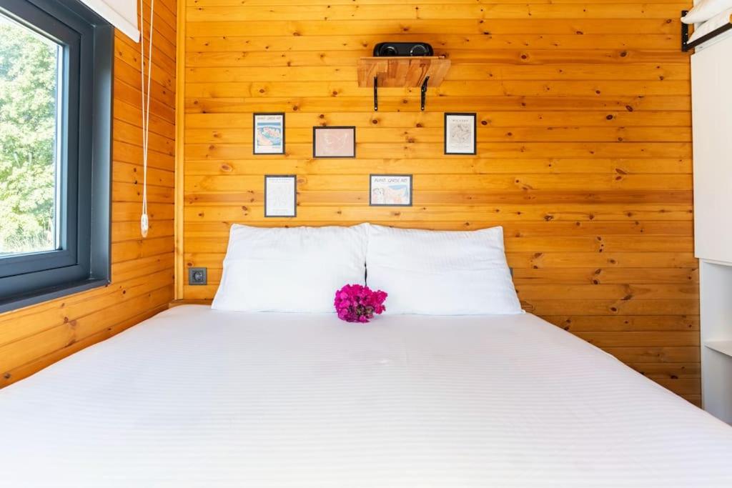 Alley Tiny House - Housity