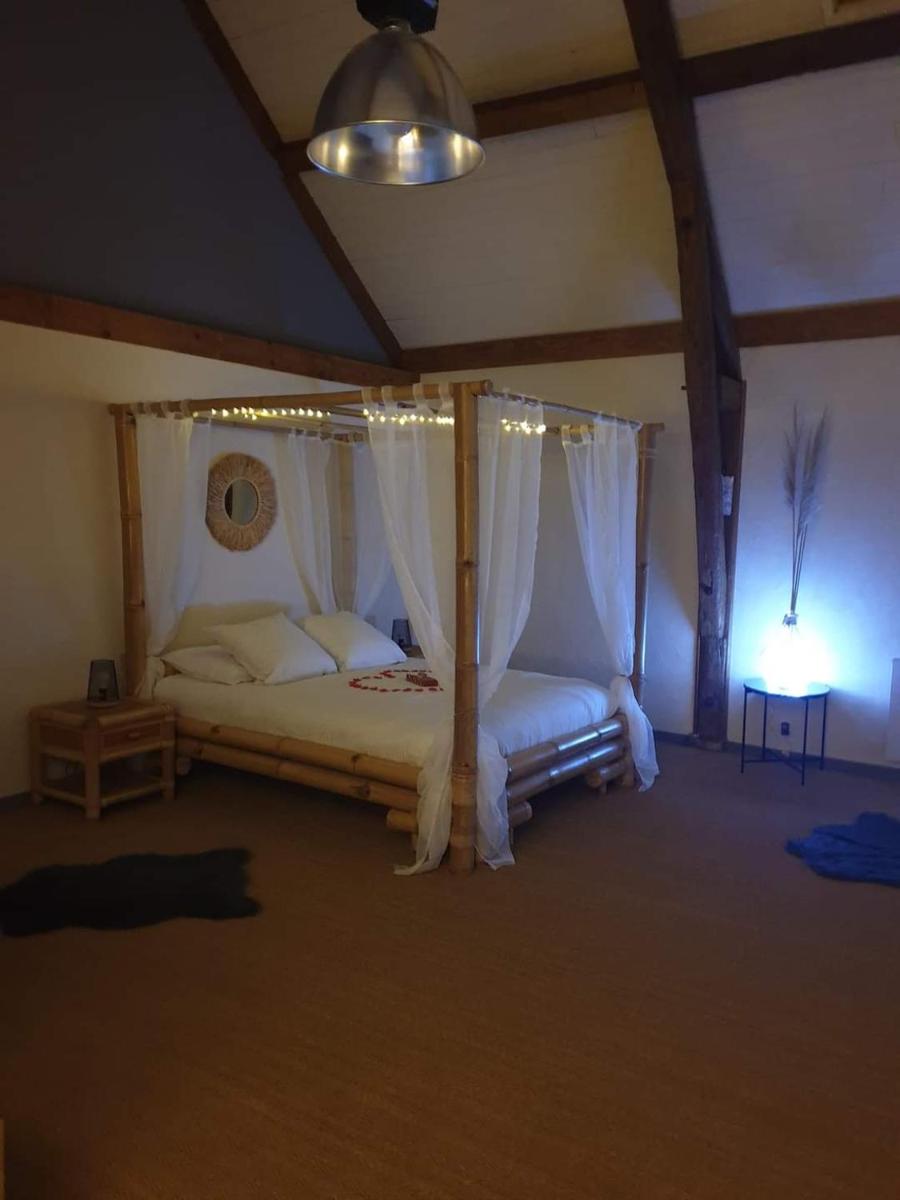 Charmant logement avec Jacuzzi - Housity