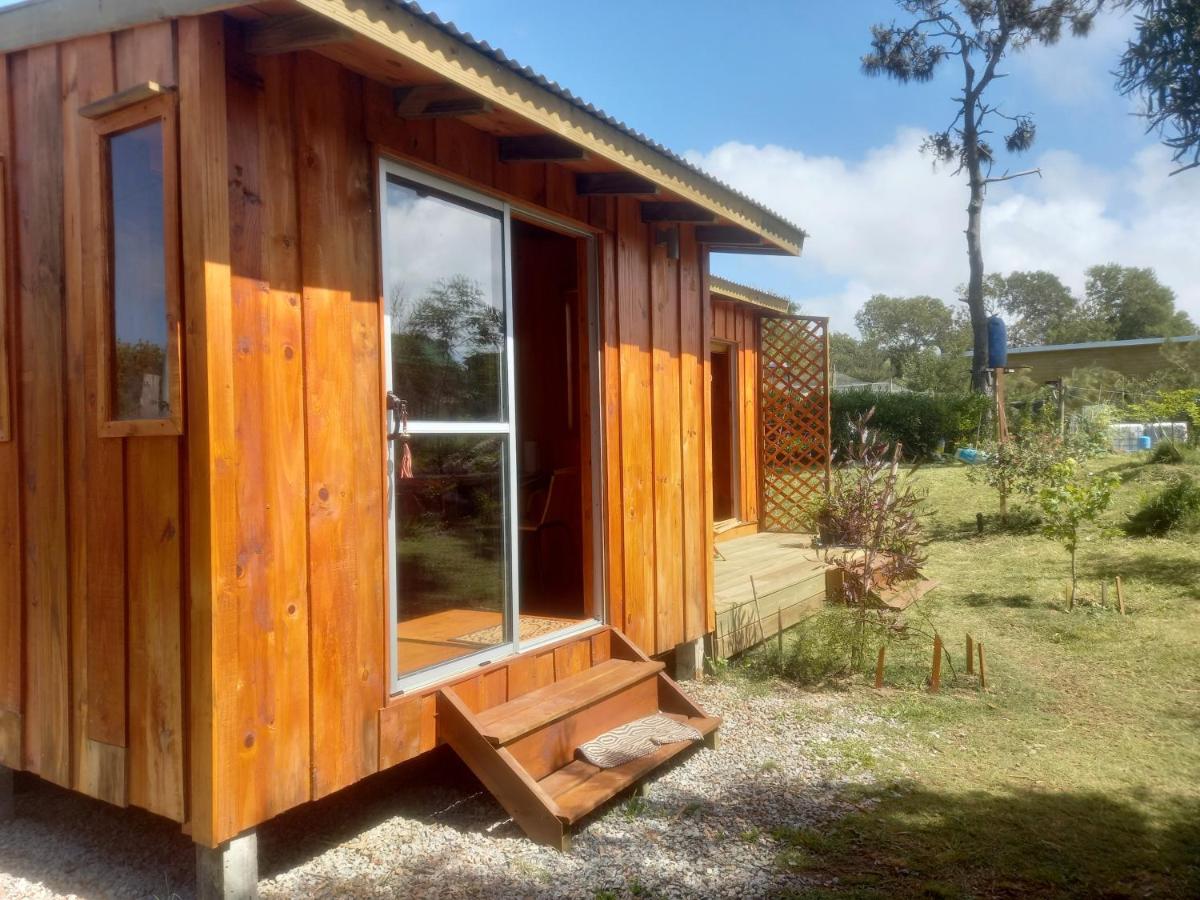 Verde viento - Housity