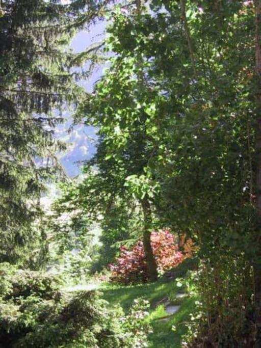 Hütte/ Chalet MAZOT ein umgebauter alter Kornspeicher - Housity