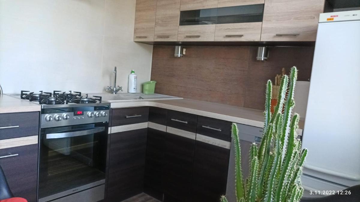 Apartament Przy Lesie - Housity