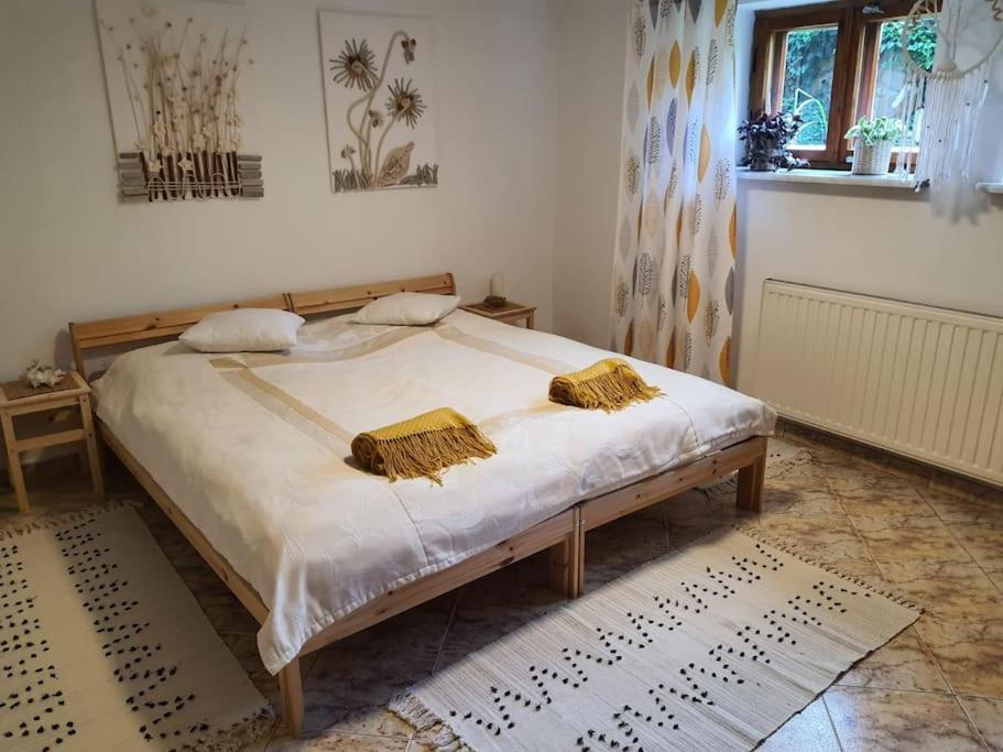 Komfortowy apartament nad Zalewem Sulejowskim - Housity