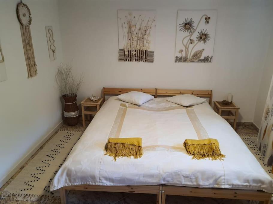 Komfortowy apartament nad Zalewem Sulejowskim - Housity
