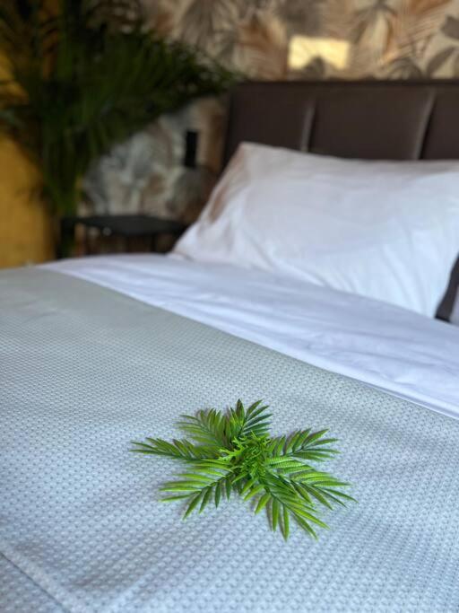 Lampsakou suites 2-bedroom house in VOLOS - Housity
