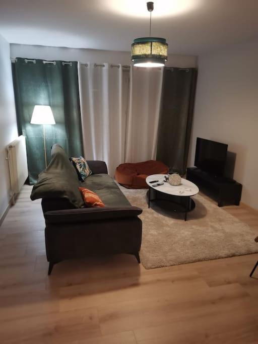 Superbe appartement neuf et moderne. - Housity