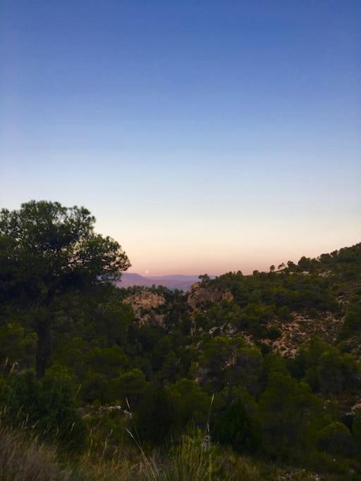 Casa De Madera, A home from home. - Housity