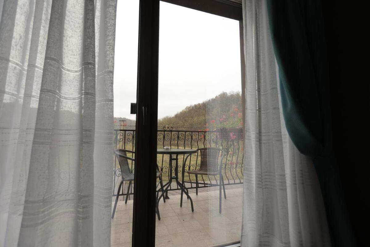 PENSIUNE RESTAURANT LIANA - Housity