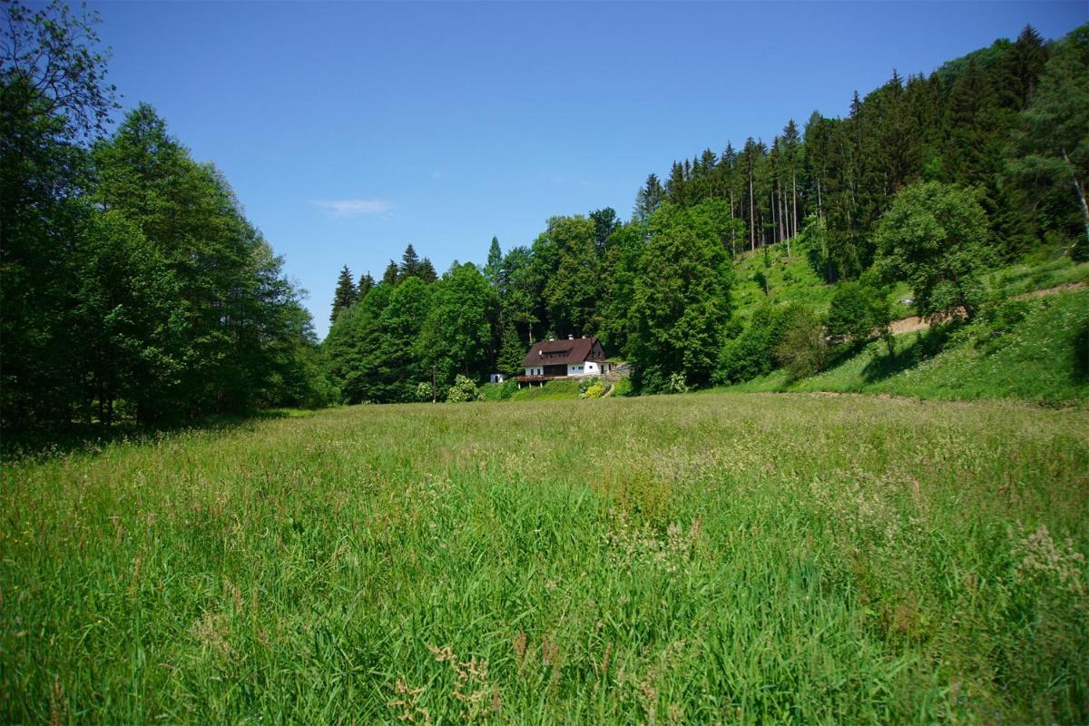 Chalupa Orlička - Housity