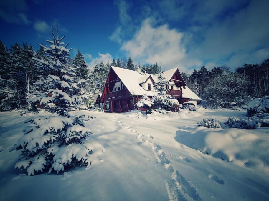 Cottage: AŽ PO UŠI („Head over heels“) - Housity