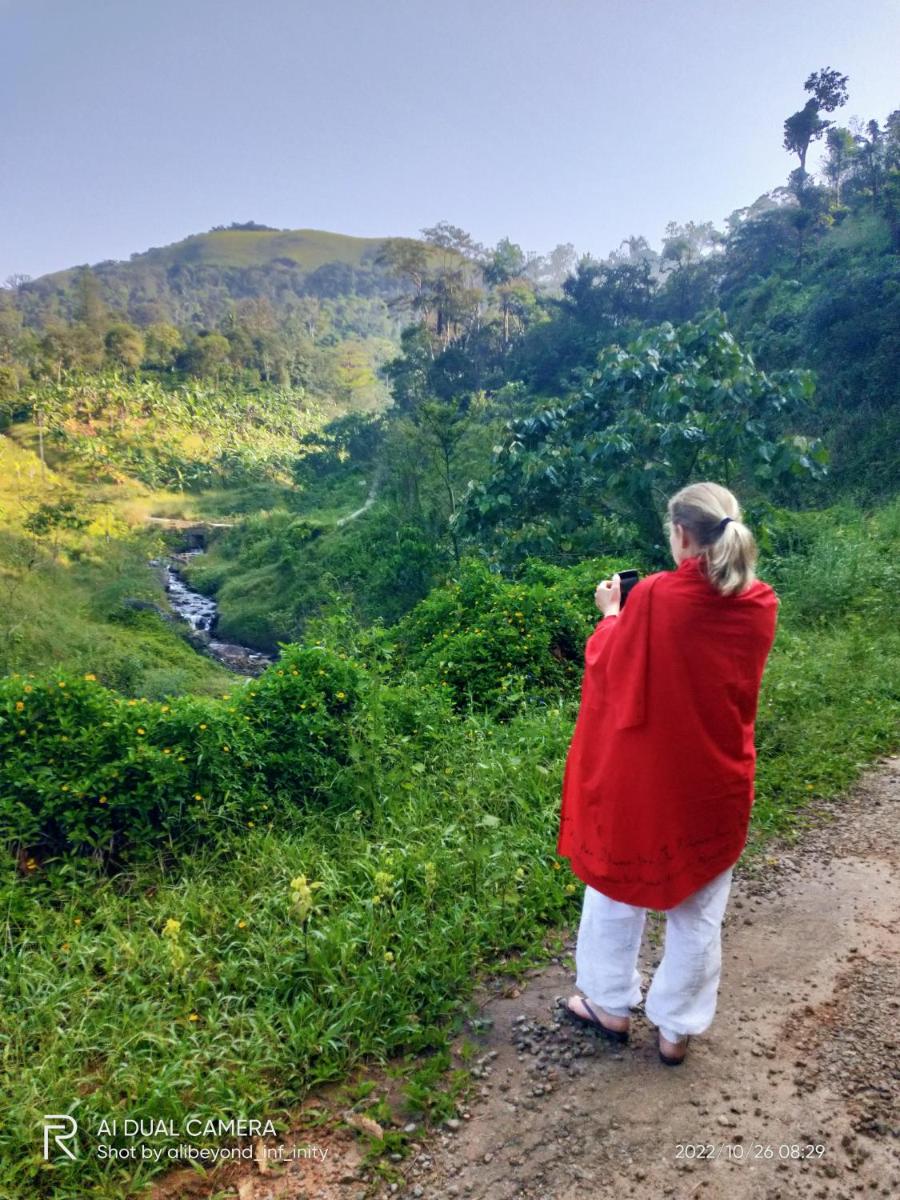 Green Hills Homestay entire - Housity