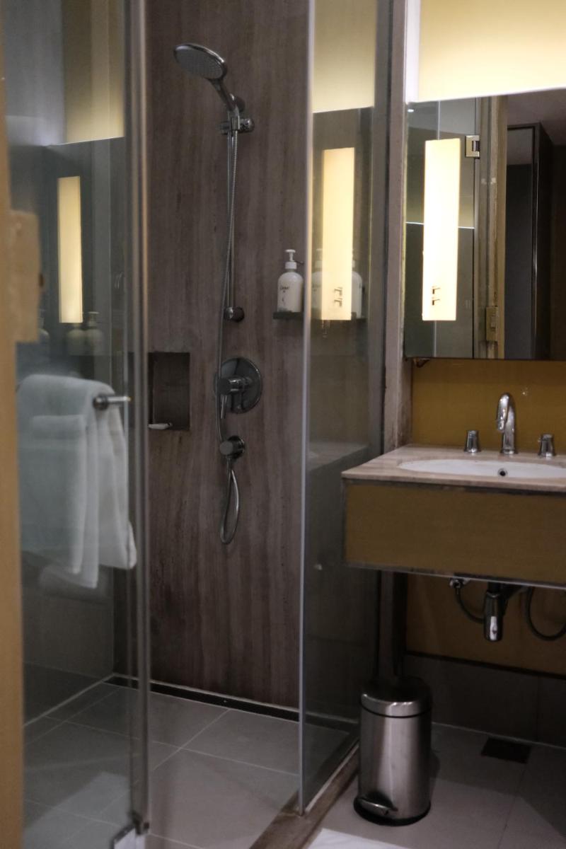 a bathroom with a shower and a sink at Holiday Inn New Delhi Aerocity by IHG in New Delhi
