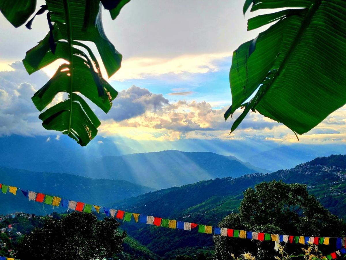 Silver spring cafe & resort - Housity