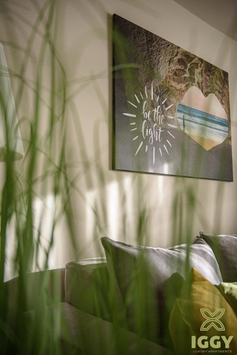 Iggy Luxury Apartment - Housity