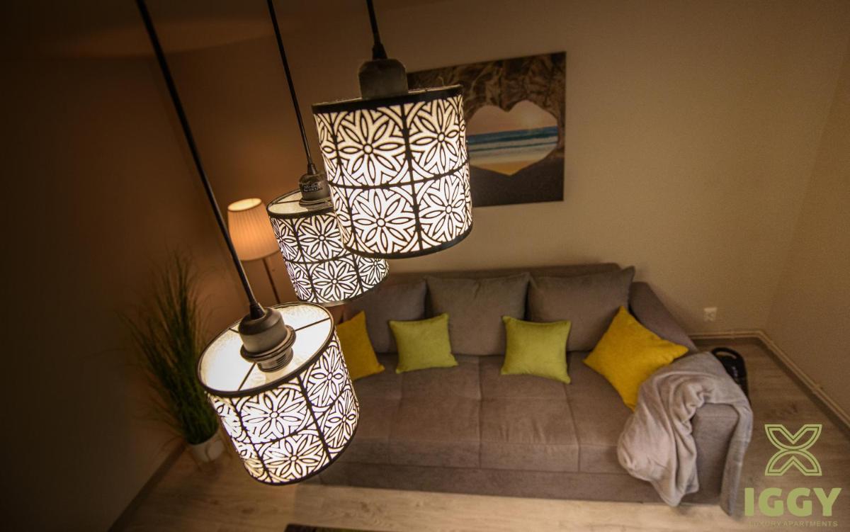 Iggy Luxury Apartment - Housity
