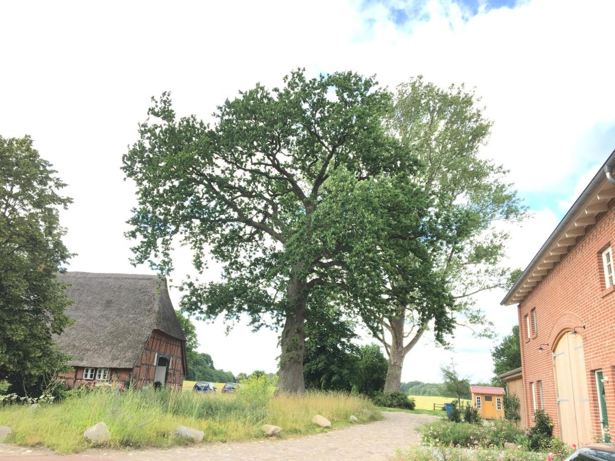 Ländliches HideAway zwischen Hamburg und Lübeck - Housity