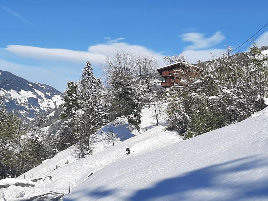 Suitetrails - Alpine cottage with exceptional view