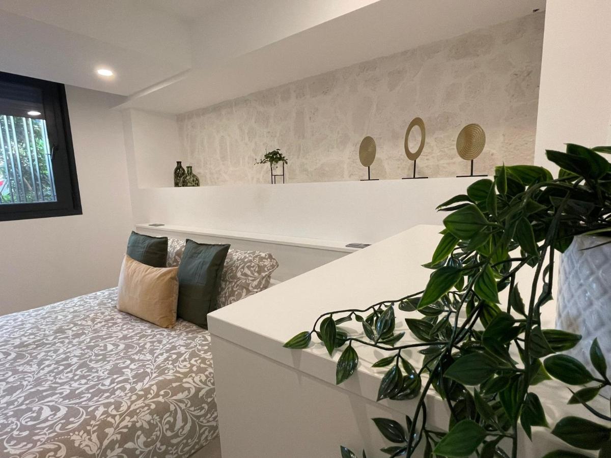 Apartamentos El Olivo - Housity