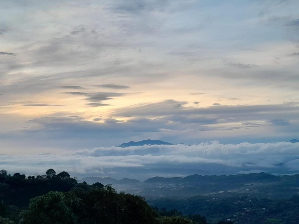 Suitetrails - Hospedaje Coffee Mountain