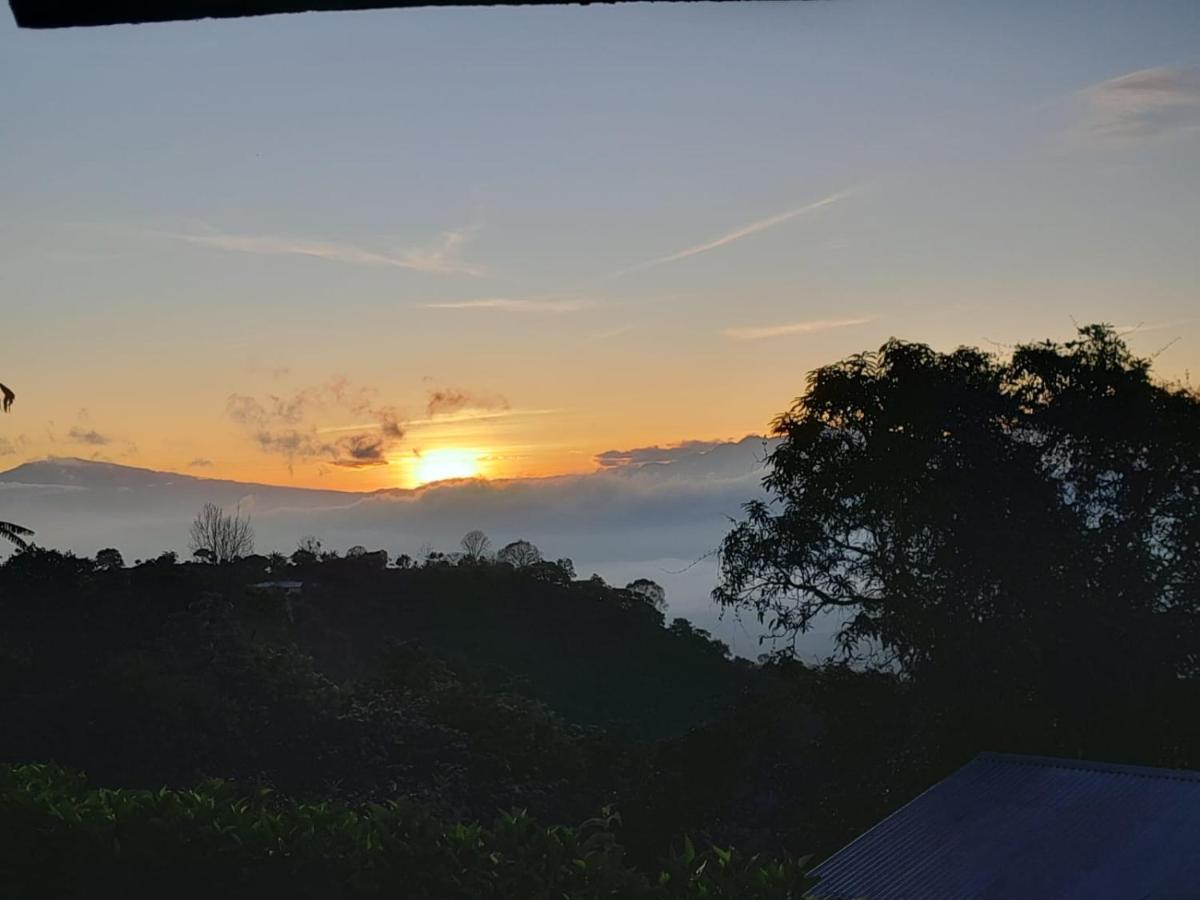 Suitetrails - Hospedaje Coffee Mountain