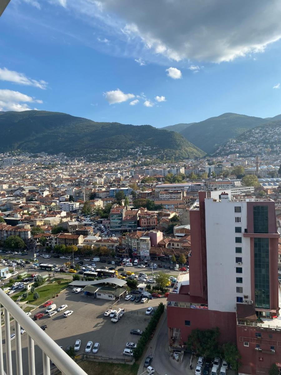Beautiful renovated flat, new furniture, stunning view. - Housity