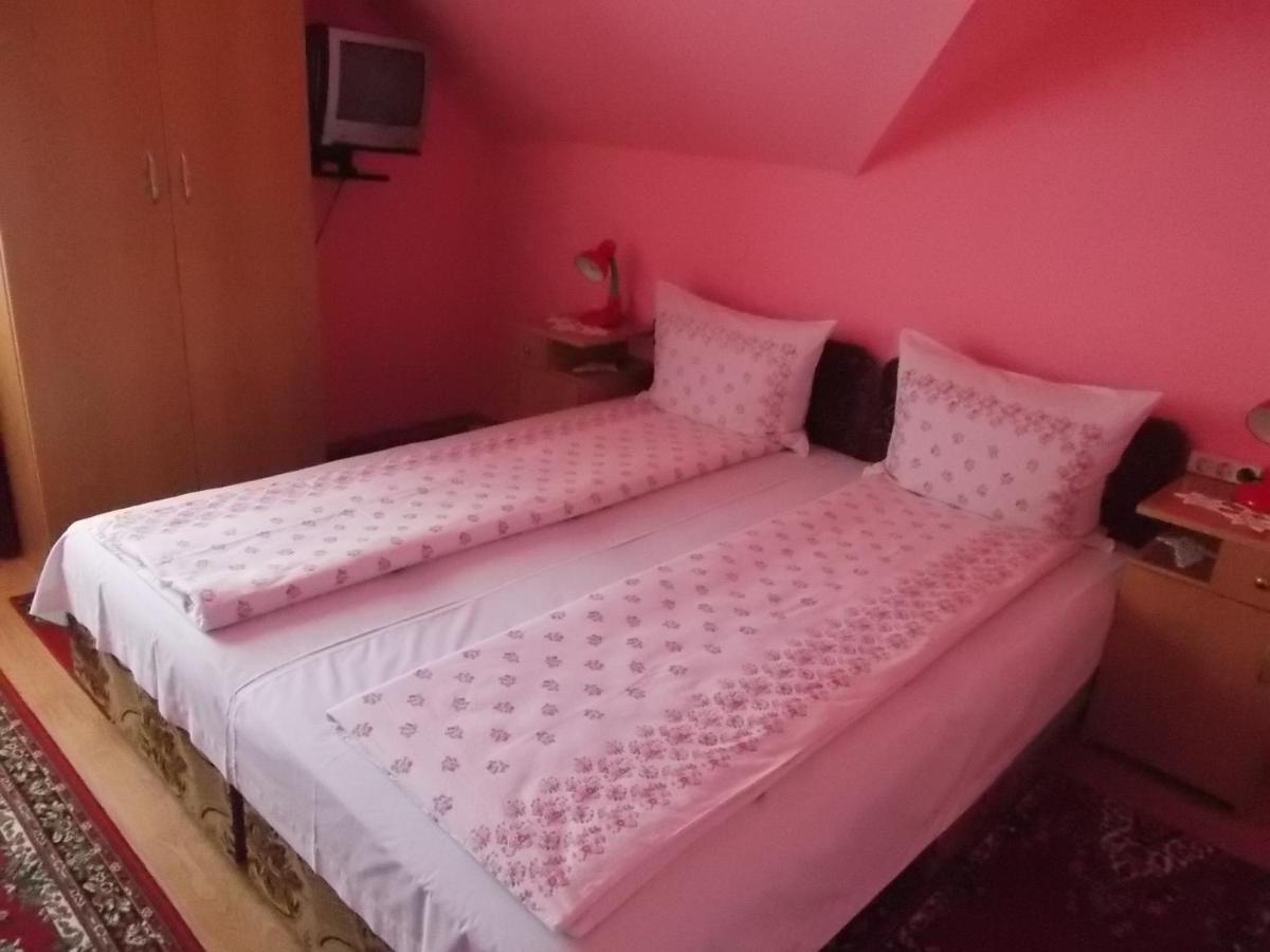 Pensiunea Ibolya - Housity