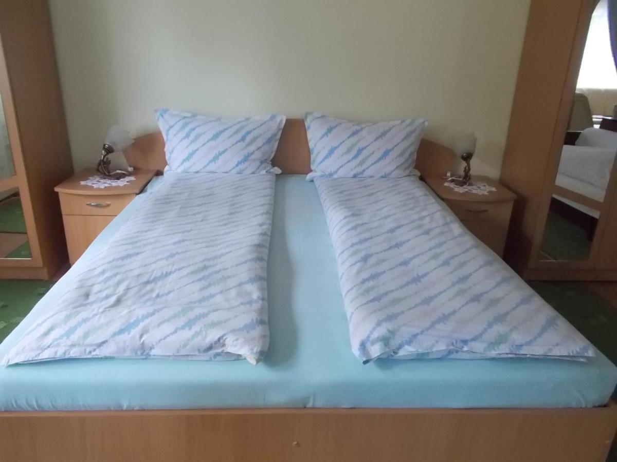 Pensiunea Ibolya - Housity