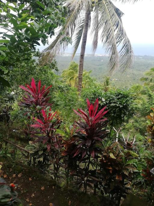 The balcony of the camiguin island - Housity