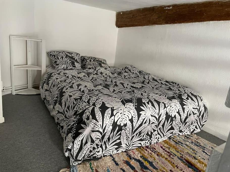 Appartement de caractère au cœur du centre-ville - Housity