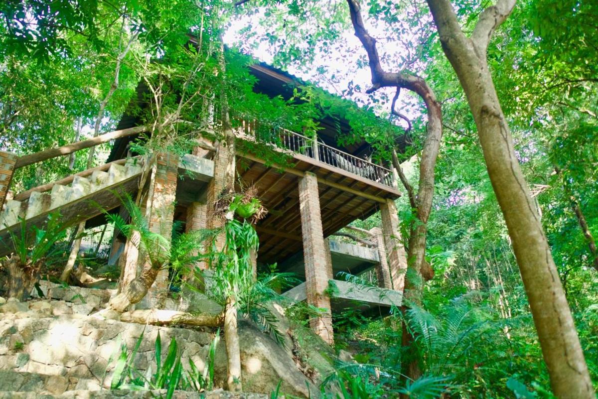 Jungle temple - Housity