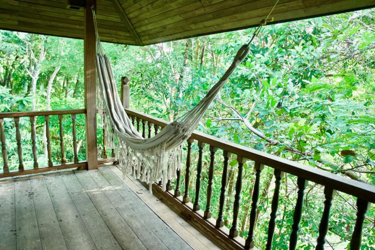 Jungle temple - Housity