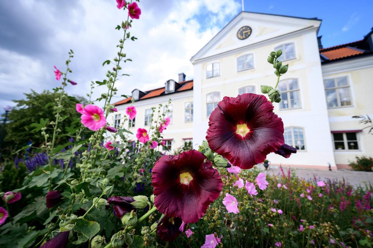 Stjärnholmsslott - Housity