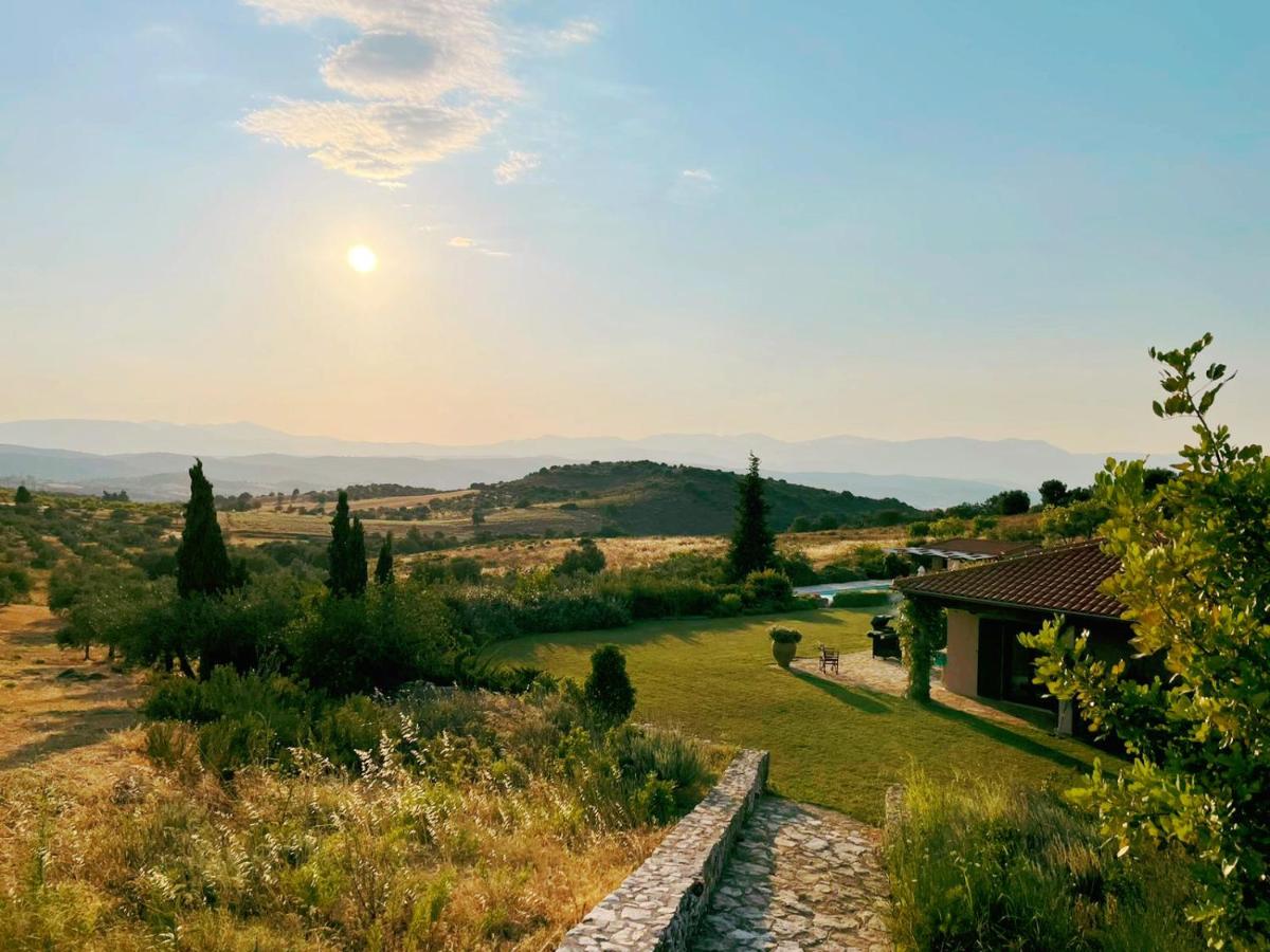 Olives Grove villa - Housity