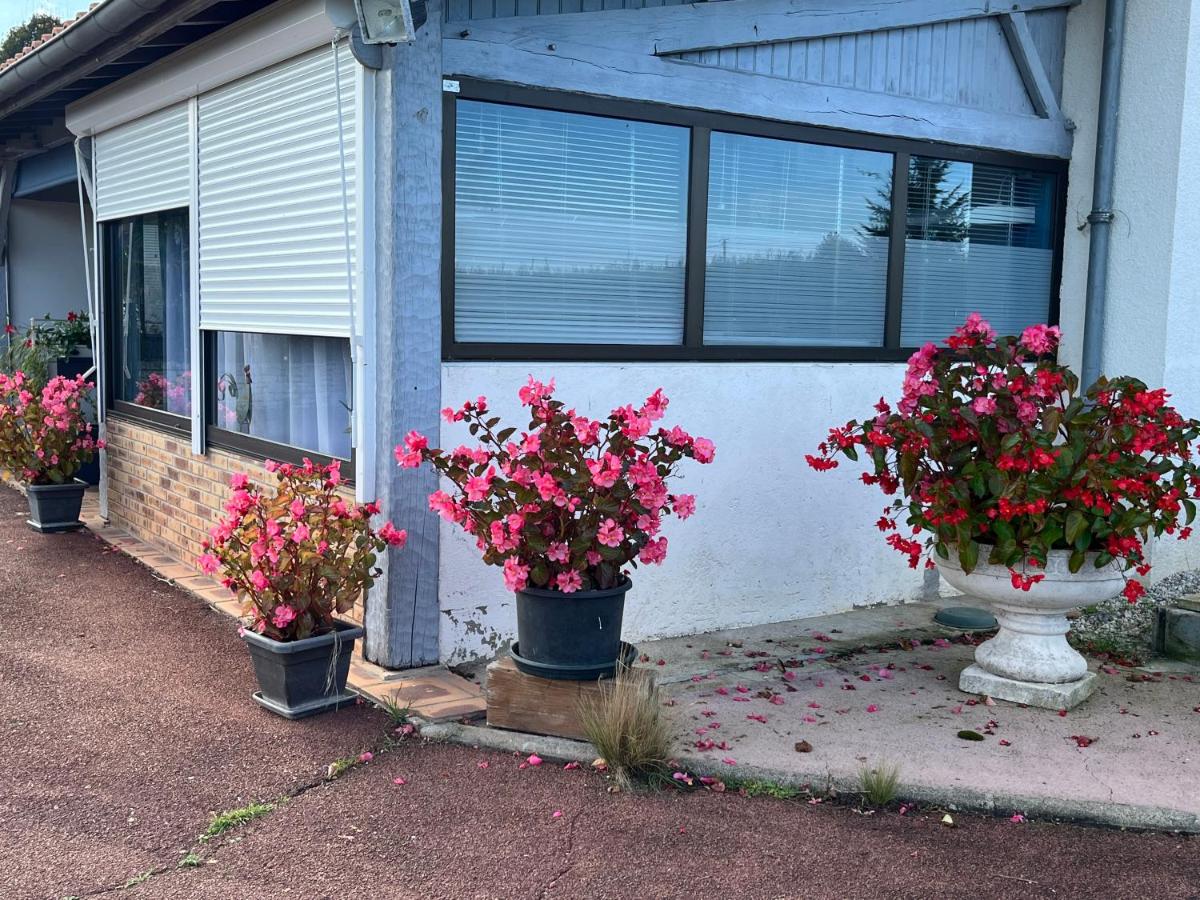 La Ligonne - Housity