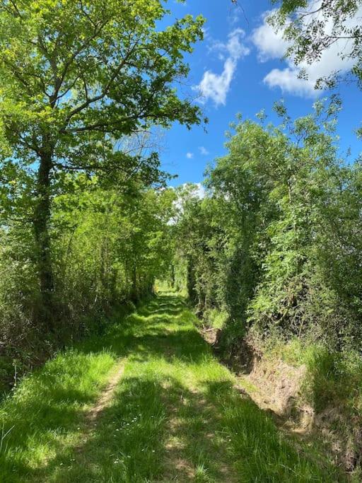 Suitetrails - Maison ancienne rénovée Bord de loire
