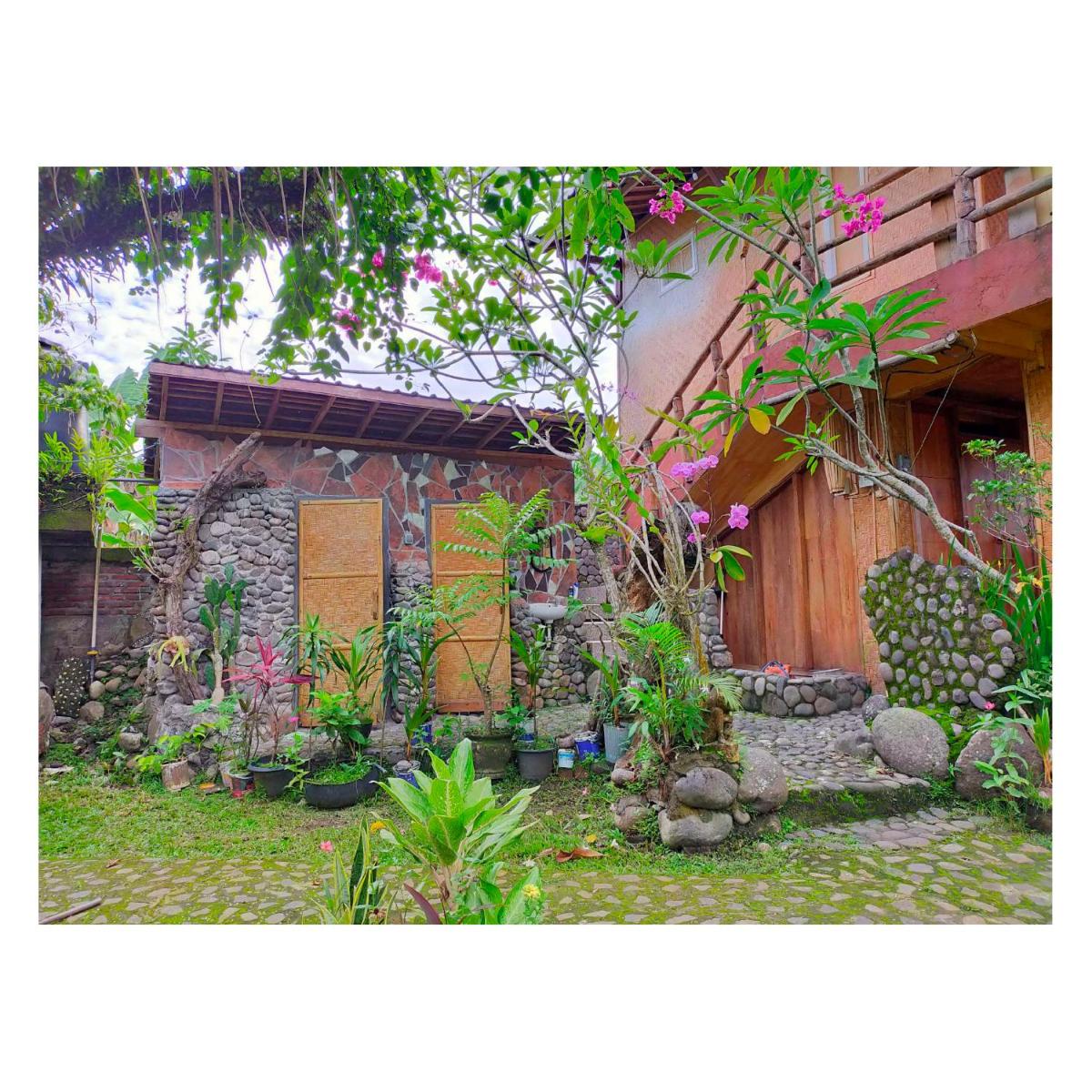 Bali Bungalow Medewisurf-homestay - Housity