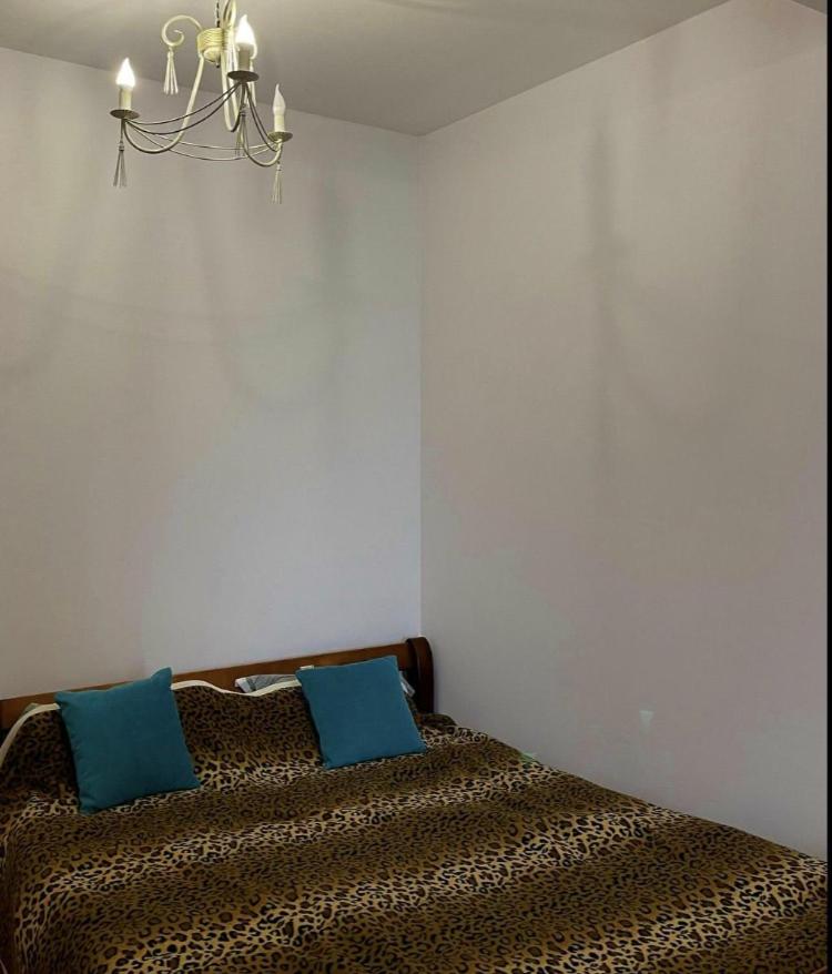 Luxury and comfortable apartment - Housity