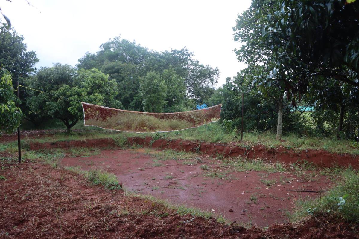 Mango Farm Stay - Housity