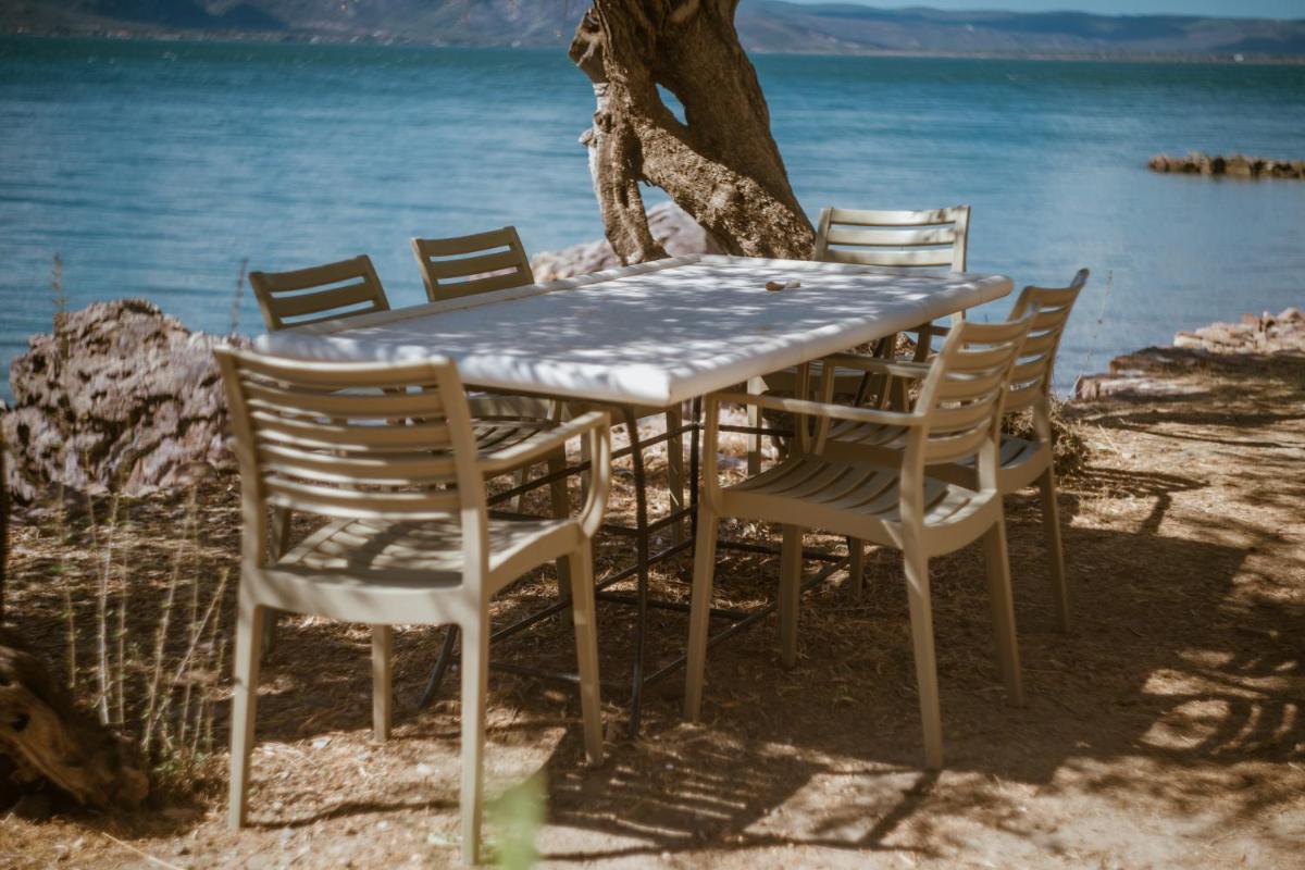 Beautiful Traditional Stone House in the private Sea Front Olive Grove of Elaionas Nikou Luxury Villas - Housity