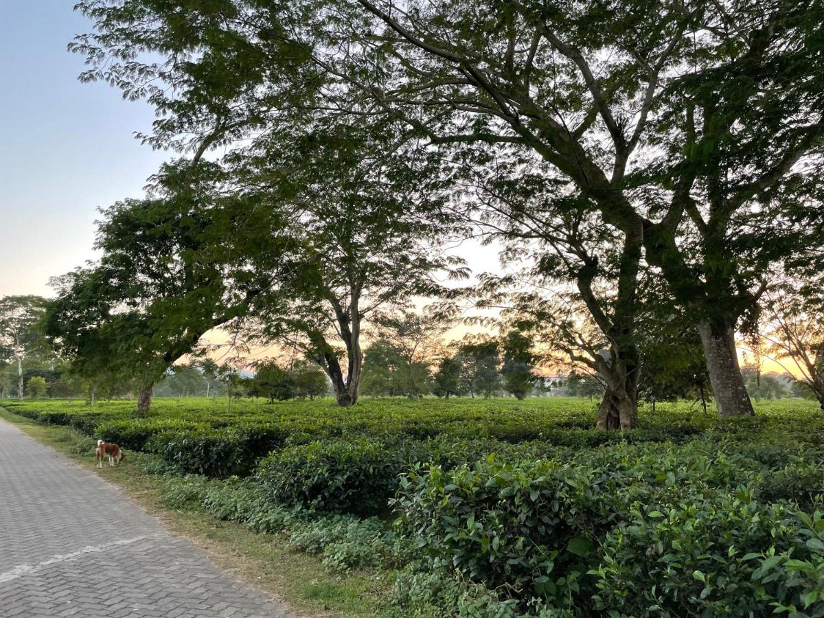 Kaziranga Retreat Homestay - Housity