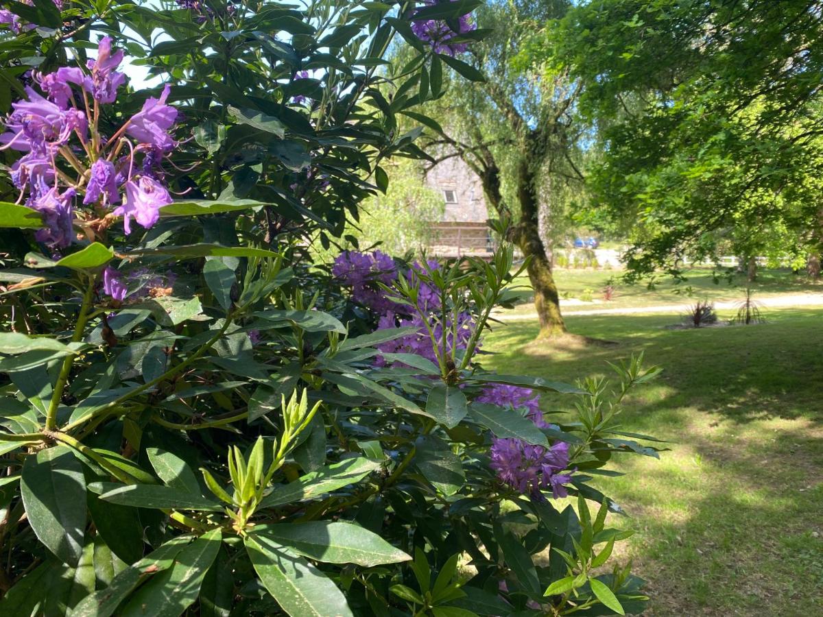 Jardin de l'établissement Les Moulins Du Duc ÉCOLODGE