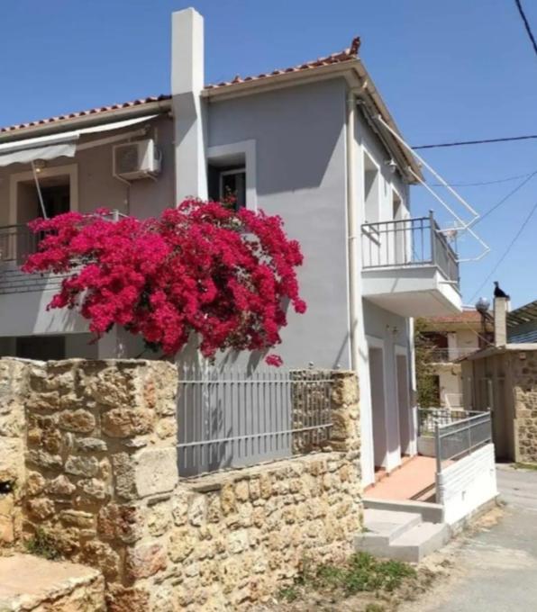 Artemis House - Housity