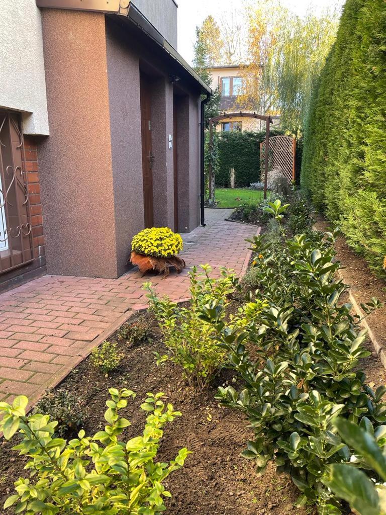 Mały apartament z kuchnią i łazienką - Housity